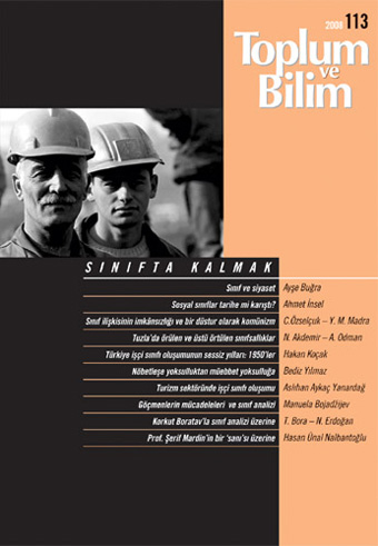 Toplum ve Bilim Sayı 113, 2008
